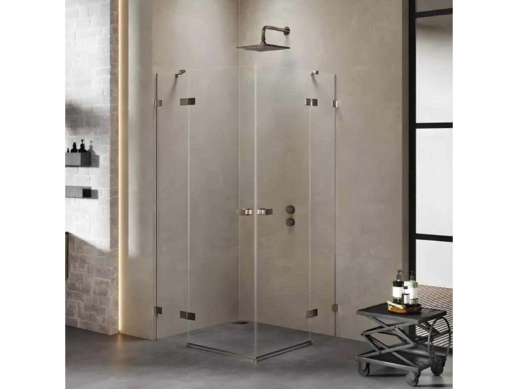Cabine de douche 80x110cm 2 portes pivotantes Domopure GUNMETAL BRUSHED inox brossé acces d'angle KCEB82252